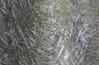 Whitnash fibreglass roof work